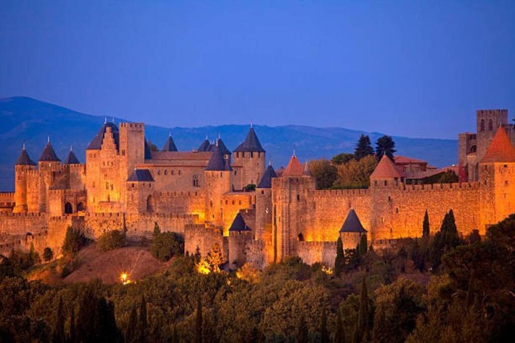 Ferienwohnung Chez Micka Carcassonne Exterior foto